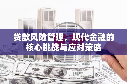 同安贷款风险管理，现代金融的核心挑战与应对策略