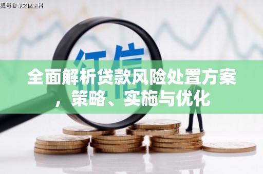 同安全面解析贷款风险处置方案，策略、实施与优化