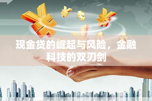 同安现金贷的崛起与风险，金融科技的双刃剑