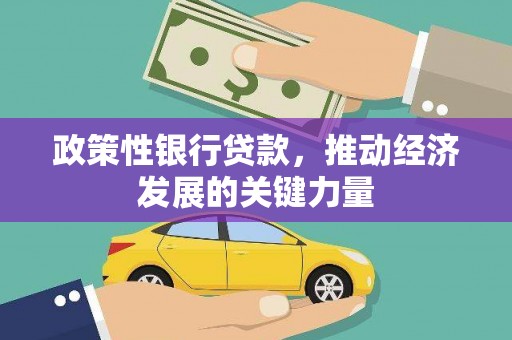 同安政策性银行贷款，推动经济发展的关键力量