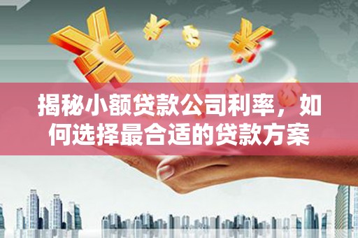 同安揭秘小额贷款公司利率，如何选择最合适的贷款方案