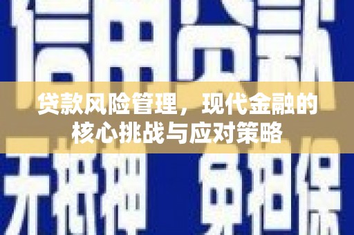 同安贷款风险管理，现代金融的核心挑战与应对策略