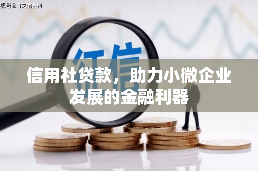 同安信用社贷款，助力小微企业发展的金融利器